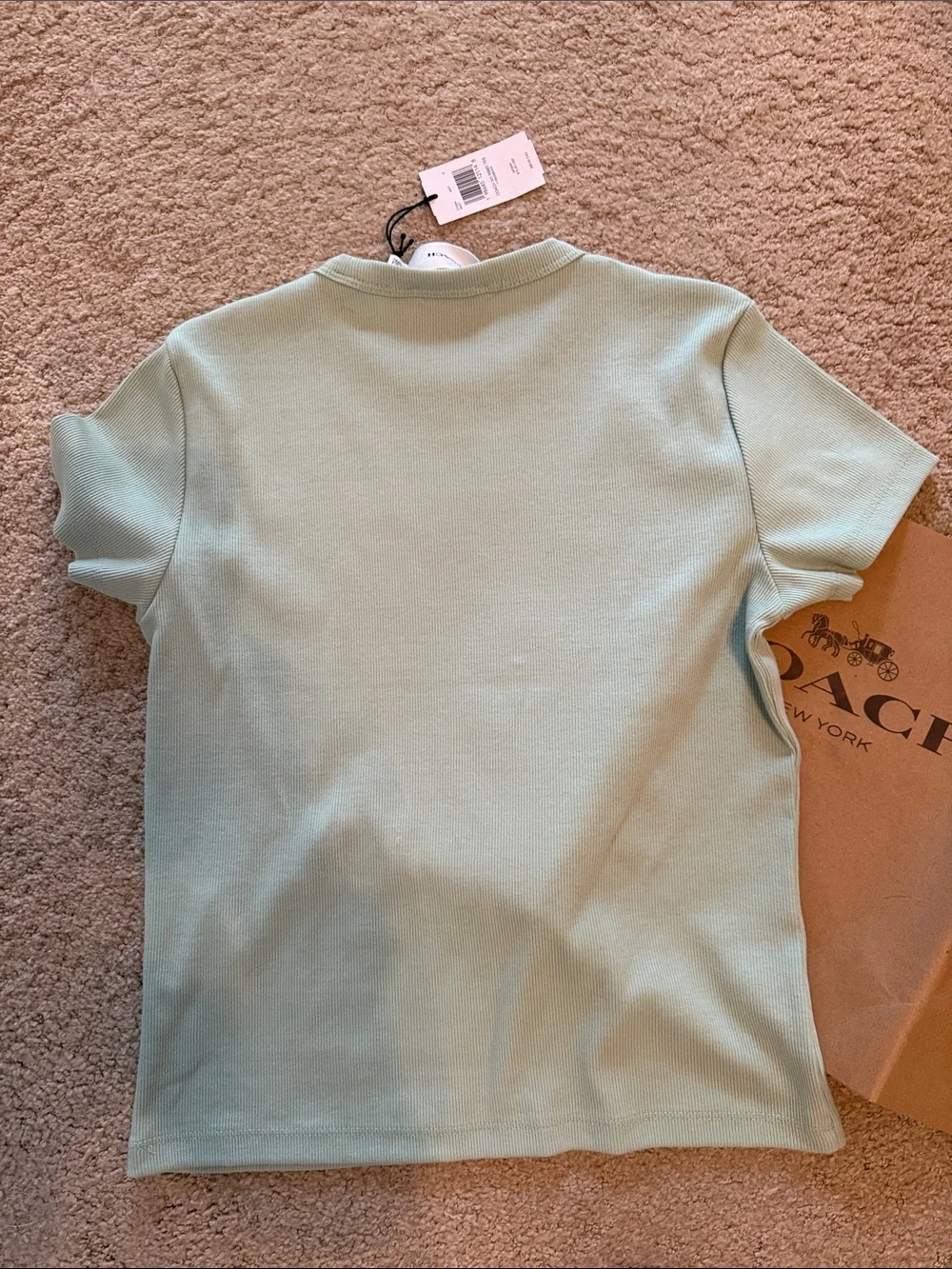 Coach Mint Green Logo Short Sleeve Tee